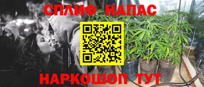 соль ск Можга