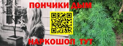 соль ск Можга