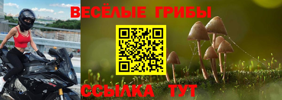 Сокол  Галлюциногенные грибы Psilocybe  Вход с VPN  Псилоцибиновые грибы ЛСД 